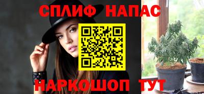 крисы Кузнецк