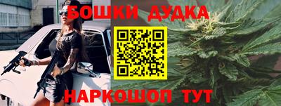 крисы Кудымкар